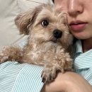 마이아지트 | 나의 새로운 아지트. 다시 연희댁으로!