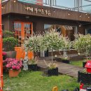 산양가든 | 제주 파더스가든 ｜ 서귀포 아이와 함께 가기좋은 야외 이색 동물원 테마파크 데이트 추천