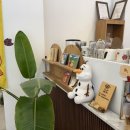 도피오DOPPIO | 순천 오천지구 디저트 맛집 doppio(도피오) 수제쿠키와 커피 한잔