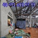 라오스의 이모저모(9)라오스 시골 동담마을 우리의 추억을 보는 풍경들 이미지