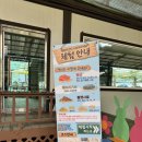 홍천동키마을 | 홍천 여행 아이랑 가기좋은동키마을 후(주차,체험,애견동반여부 팁)