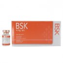 비에스케이(BSK) 이미지
