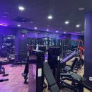 바디짐헬스 이미지