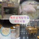 비원 | 제주 비원 말복 삼계탕 든든하게 먹고 온 후기