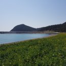 평사민박