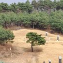 청주경씨 시조묘역 | 청주경씨 시조(淸州慶氏 始祖) 묘-충북 청주