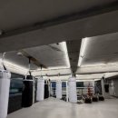 팀 드래곤 복싱 이미지