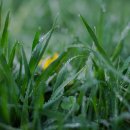 신선슈퍼 이미지