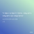 네일데이즈 네이버블로그