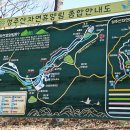 성주산자연휴양림 이미지