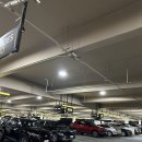 안중카케리어 | [신혼여행]미국렌터카 후기(LAS→LA) | 허츠렌터카 | 내돈내산