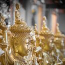 대한건강 이미지