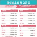 신정애견미용 이미지