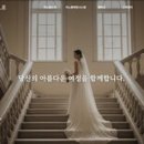 지노블 이미지