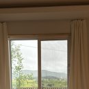 왈왈스테이 이미지