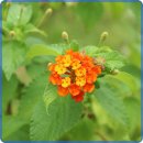 데일리 그루밍 이미지