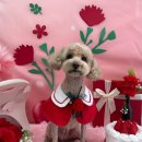 까까멍멍 이미지