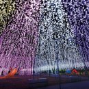 빛(꽃)의정원 이미지