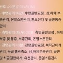 레아 | 대전 산후마사지 라브레아 후기 | 베이비페어 계약 가격·관리코스 내돈내산