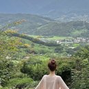 수락폭포 펜션 | 구례 애견동반 독채숙소 &#39;검화당&#39; 에어비앤비 예민한 강아지 가족여행 감성숙소 내돈내산 추천 후기