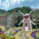 펫플레이스 이미지