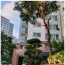 모든부동산중개 | 권선동부동산 안전하고 신뢰가는 부동산 중개 경험 후기