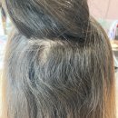 나비드헤어 이미지