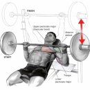 이볼브 트레이닝 | 송파 헬리오시티 핫플, 이볼브 트레이닝 🍁 가을PT 이벤트 후기