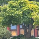 사명대사공원 잔디광장 이미지