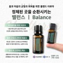 딥밸런스
