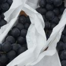 무지개빛농장 이미지