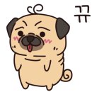 미숙이네 이미지