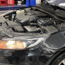 애니카랜드정발산점 이미지