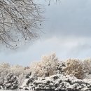 눈꽃이피다 이미지