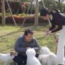 나래농장2 이미지