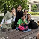 일로일로 이미지