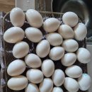 우물골농장 이미지