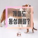 이웃집 동물병원 이미지