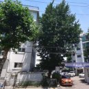 한신아파트 앞 이미지