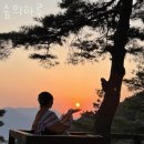 숲의하루 이미지