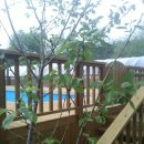 하얀마을펜션 이미지