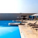 아쿠아필드 고양 이미지