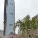 오하나카페