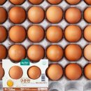 아나파짐앤랩 네이버블로그