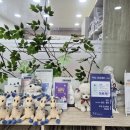 엔젤아이의원 이미지