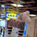 강동할인마트 | 이케아 강동점 1주년 행사와 스웨디시 레스토랑 음식 후기(내 돈 내산)