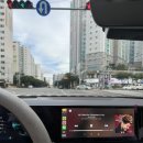 복덩이네 강아지 이미지