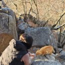 [경남]거제 5산 망산, 가라산, 노자산 이어 타기. 거제휴양림 1박 묵기.