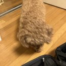 CU수완부영점 | #0116-31