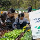 현대그린농장